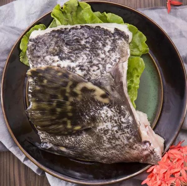 味库海鲜食材百科文莱龙趸石斑鱼