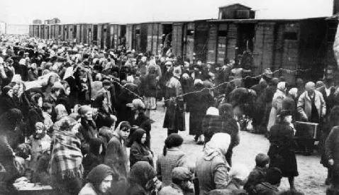 奥斯维辛集中营为何成为人间炼狱永远不要考验人性
