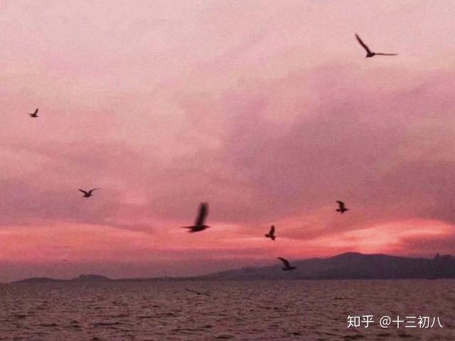 有没有"都是风景,幸会"这样的唯美短句? - 知乎