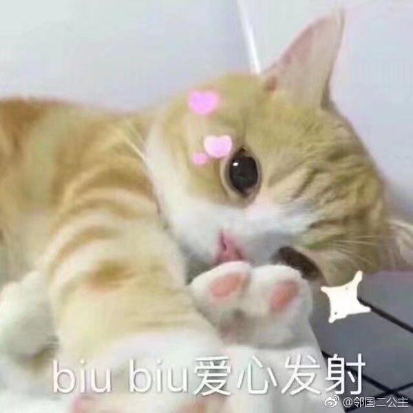 嘤嘤嘤可爱死了(暴露铲屎官体质