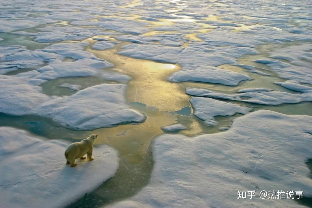 人类对地球的污染引致极端天气频生病毒大流行