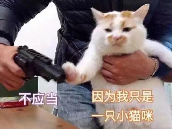 你手机里最搞笑的表情包有哪些(可以关闭水印吗)?非常