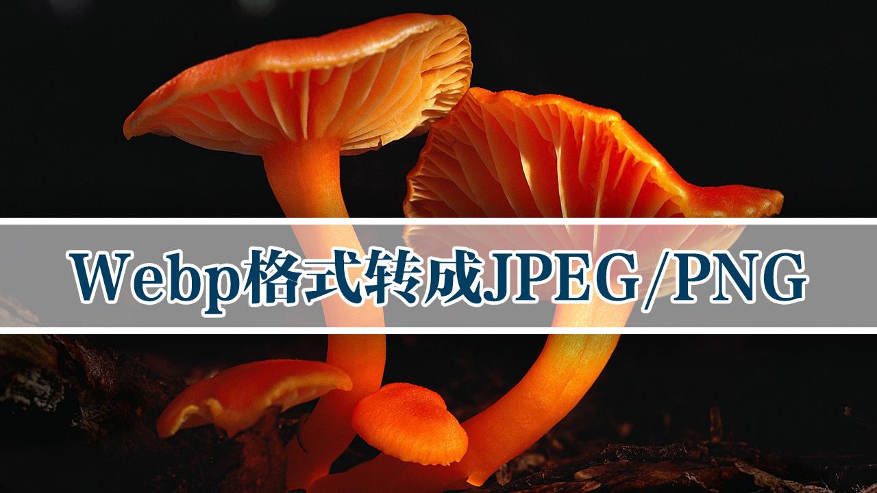 webp转成jpeg或者png格式