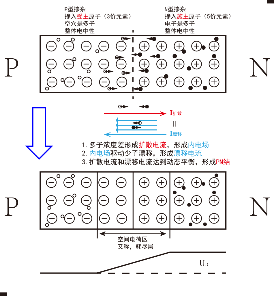 主要特性:单向导电性 pn结形成原理示意图