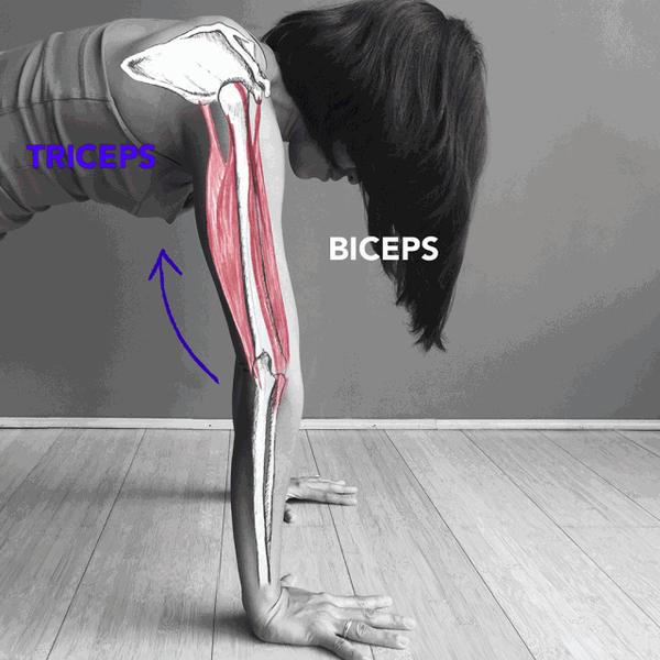 在手肘超伸的状态下,部分肌肉,韧带被过度拉长,肱骨顶住尺骨,两根