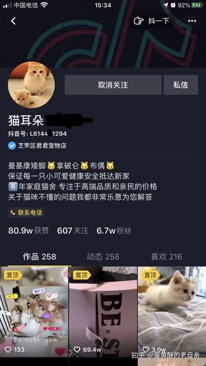 事后,抖音号的置顶第一条那窝猫里就有我可怜的奶黄包 死了之后还在