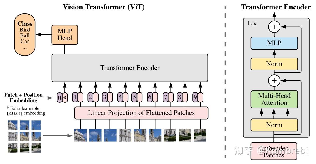 vision transformer(vit) - 知乎