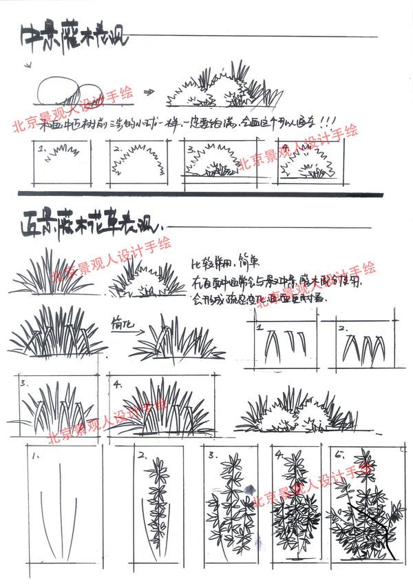 如何快速学会植物单体画法?