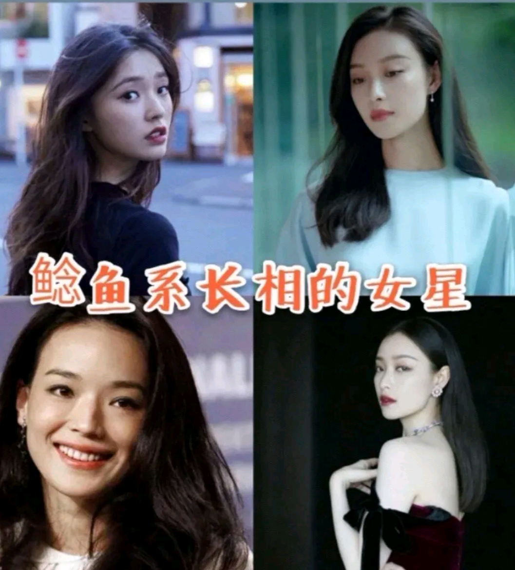 何晋龙解读鲶鱼长相的女星