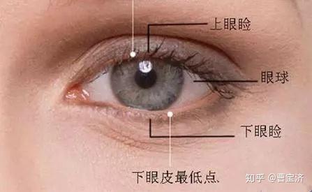 其实双眼皮(上眼睑),下眼睑和眼球,是三个相对独立的解剖生理结构和