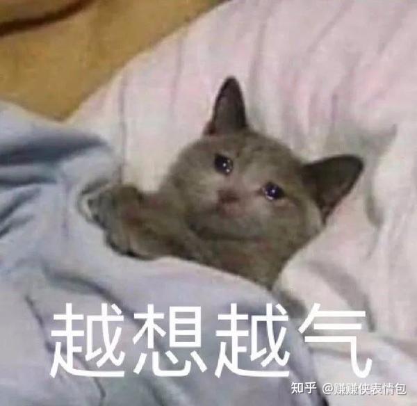 热门表情包:泪如雨下