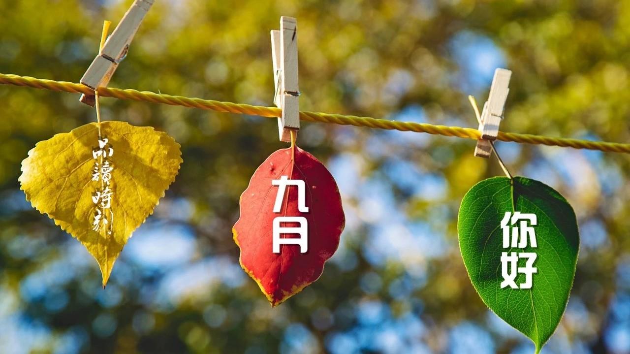挥手告别八月喜迎九月不为往事扰只愿余生笑