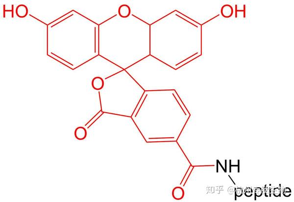 4 rhodamine b(罗丹明 b)修饰 罗丹明b是众多罗丹明染料中的一种,用于