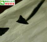 魏碑基本笔画入门动态图教程