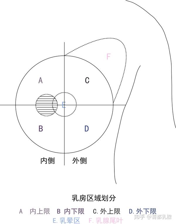 罕见乳房丝虫病你知道么