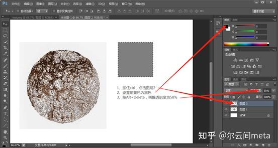 人类高质量科研图片生信sci免疫组化细节放大图绘制手把手教会你