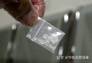 毒品危害,你知多少?