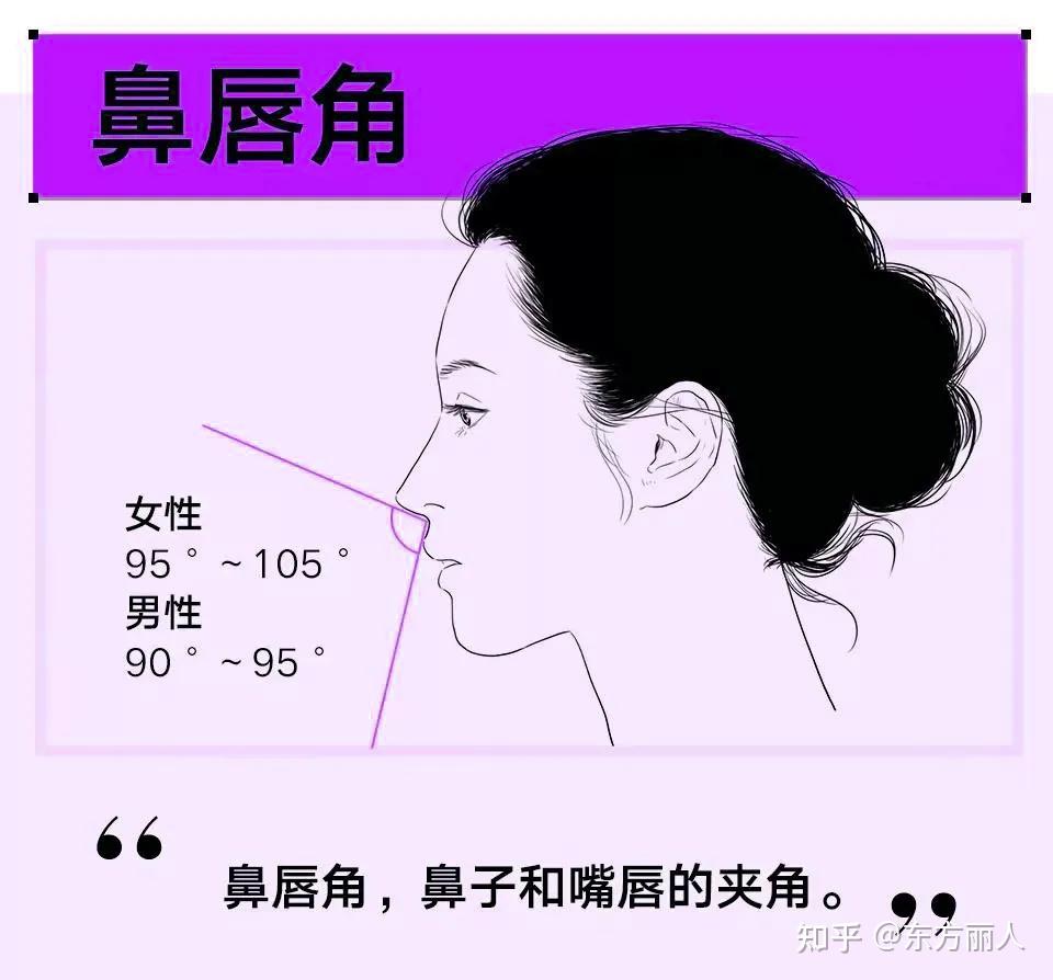 东方鼻部美学标准