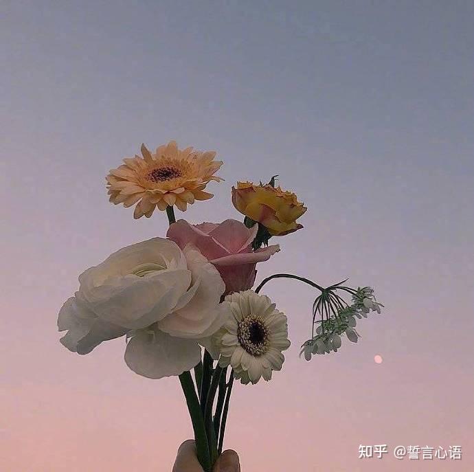 看清人和事的精辟语录,一句话点醒你的人生!