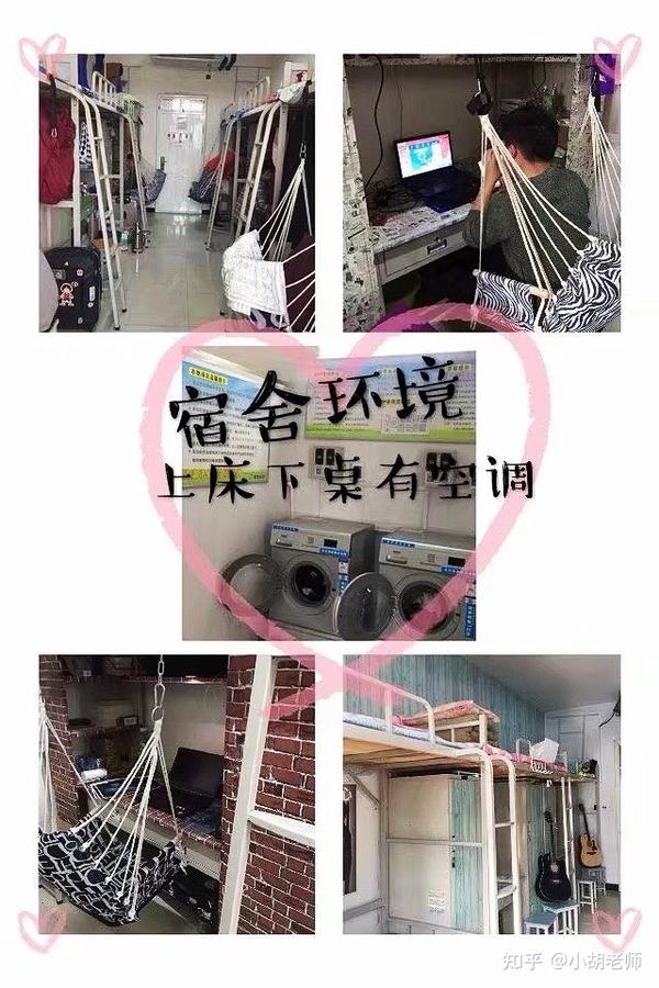 鹤壁职业技术学院单招