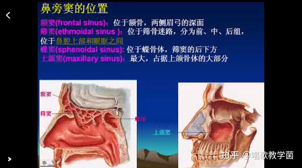 带你认识什么是共鸣腔?