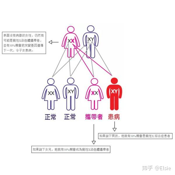 脆性x综合症产前筛查有必要吗?