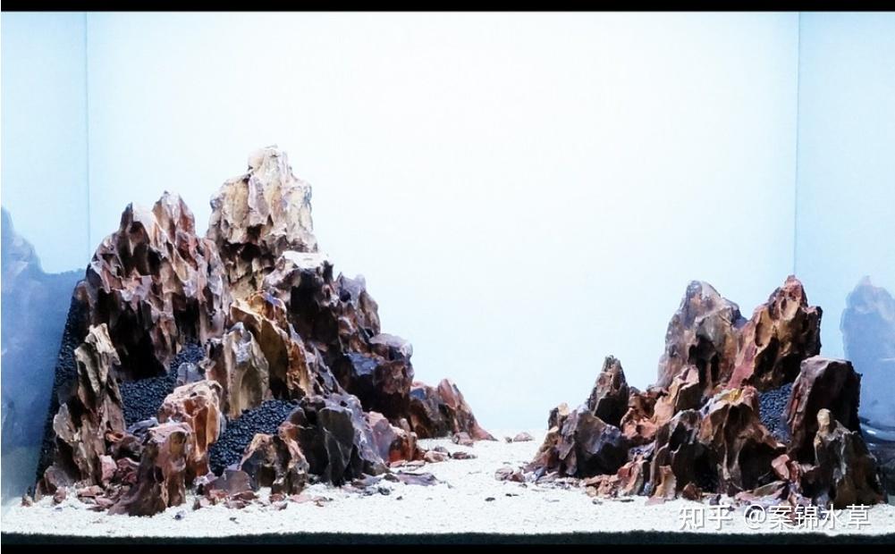 新手入坑求赐教鱼缸造景