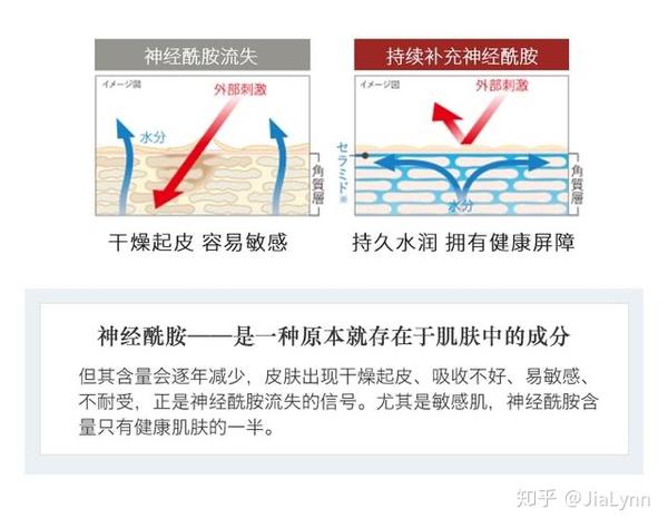 角质层肌肤滋润三要素之———细胞质脂质(主要成分是神经酰胺)