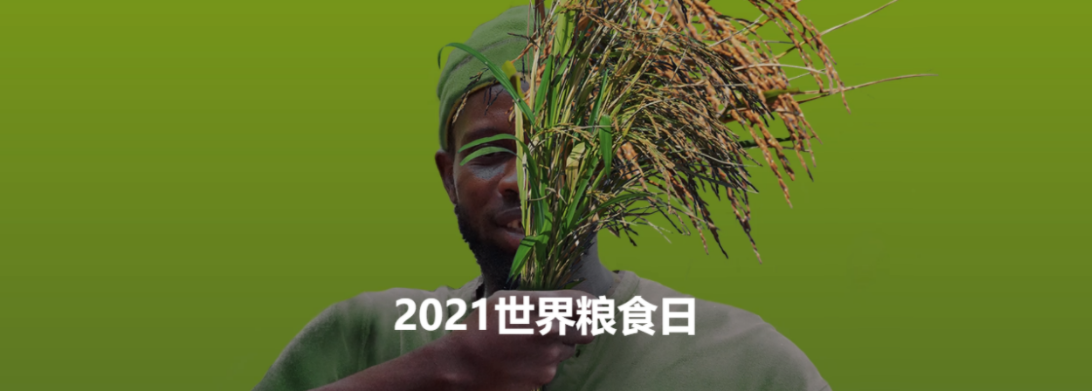 2021年世界粮食日新态势新动能农业粮食体系必将迎难而上克服危机