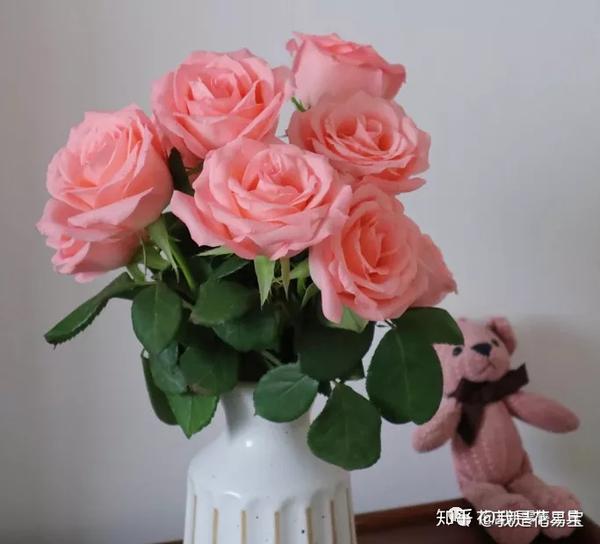 最全粉色系玫瑰攻略七夕情人节用粉色俘获你的少女心