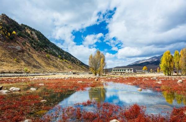 天雨旅行——稻城|纵使错过全世界,也不想错过你