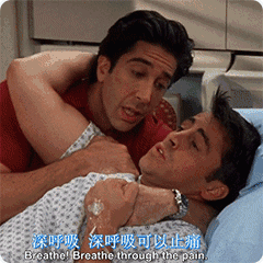 待产的菲比想留下一个孩子,所以请瑞秋去游说弗兰克.