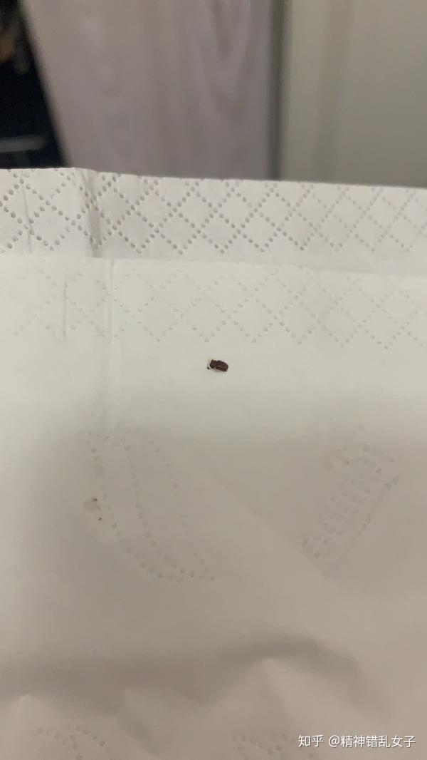 请问这个是什么虫子?棕色硬壳?出现在床上的窗帘上.会装死的.