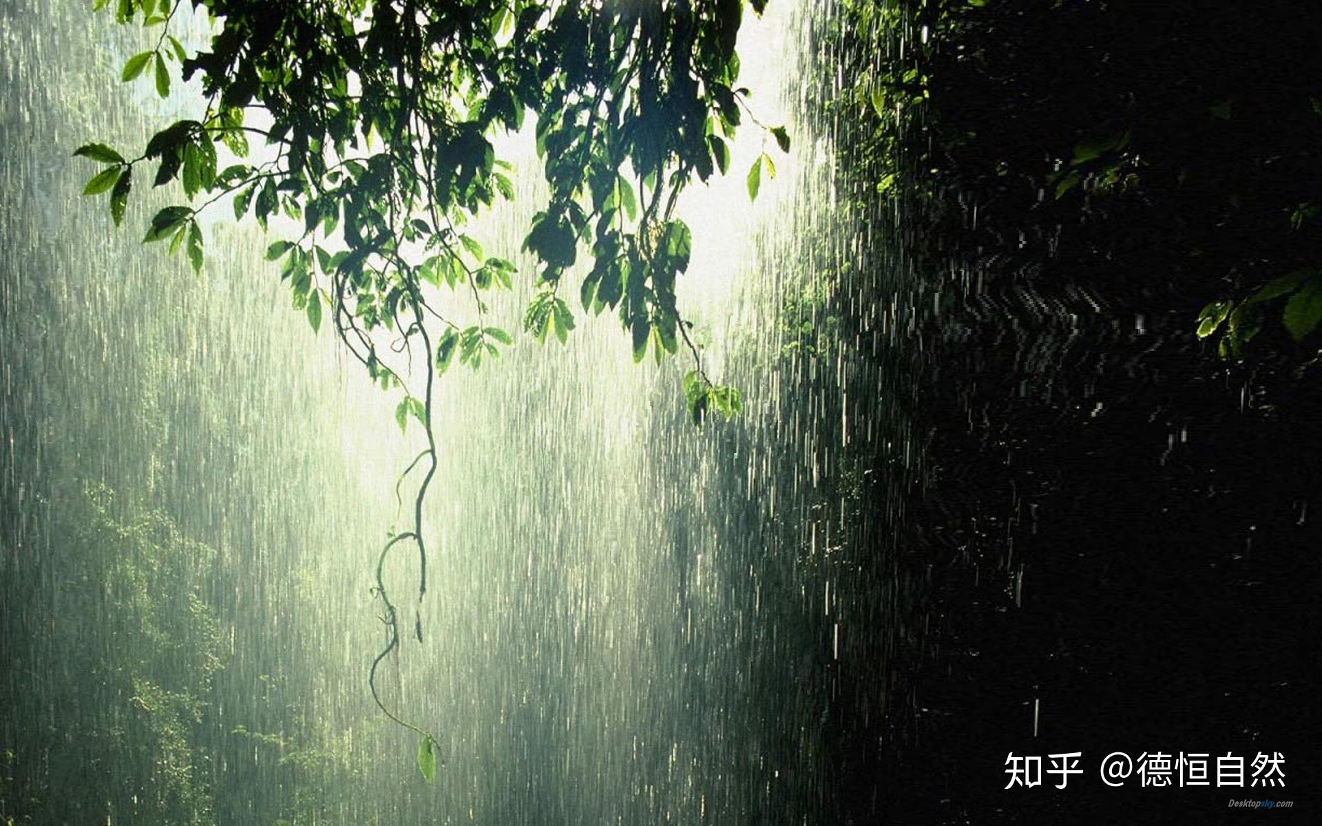 切莫听风就是雨 知乎