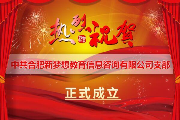 热烈庆祝来学机构旗下公司合肥新梦想党支部成立