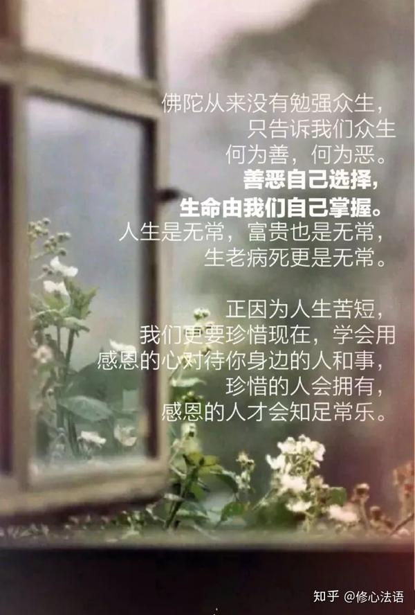 学会用感恩的心对待你身边的人和事,珍惜的人会拥有,感恩的人才会知足