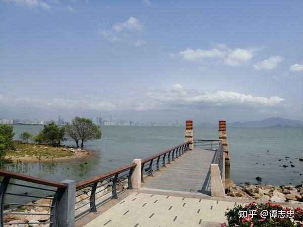 深圳湾公园美丽风景线