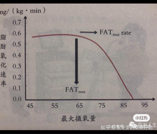 有效消耗脂肪的运动负荷