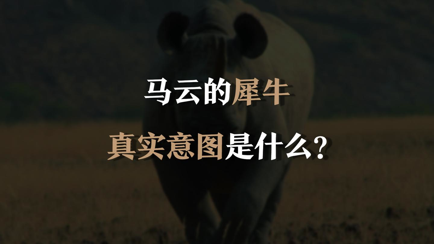 马云的犀牛,真实意图是什么?