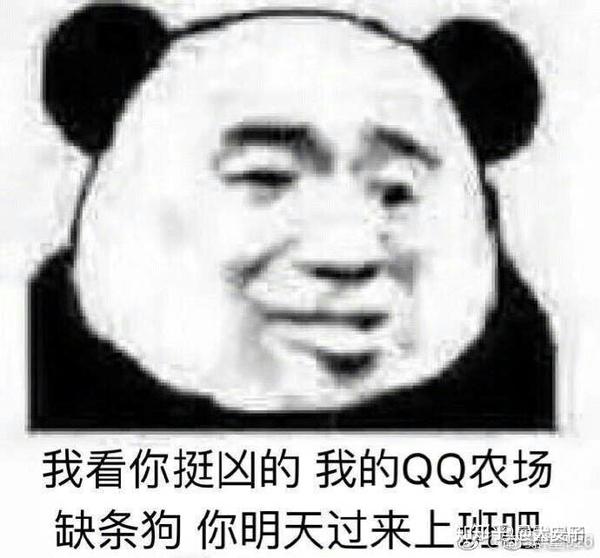 有什么万能表情包?