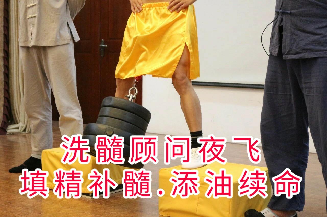 洗髓顾问夜飞:道家男性保养秘术,易筋洗髓,铁裆吊阴,易筋导引,吐纳