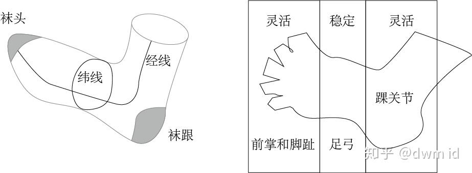 先从足的骨结构说说,我们人体的关节的排列基本是是按照 灵活—稳定