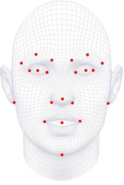 人脸关键点综述
