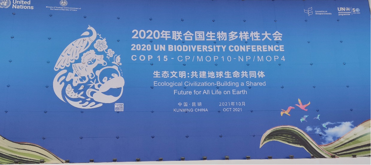 重保战果微步在线尽责守护cop15大会网络安全