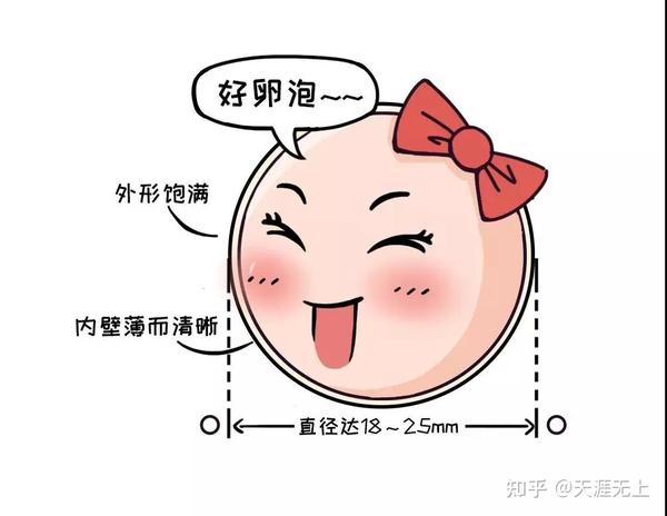 试管婴儿卵泡多大更合适