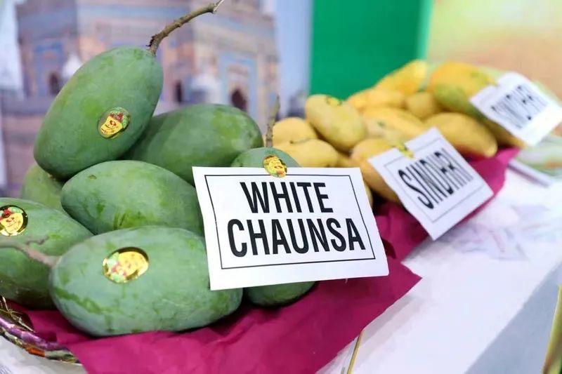 芒果是巴基斯坦的水果之王,也是巴出口创汇的代表品类之一.
