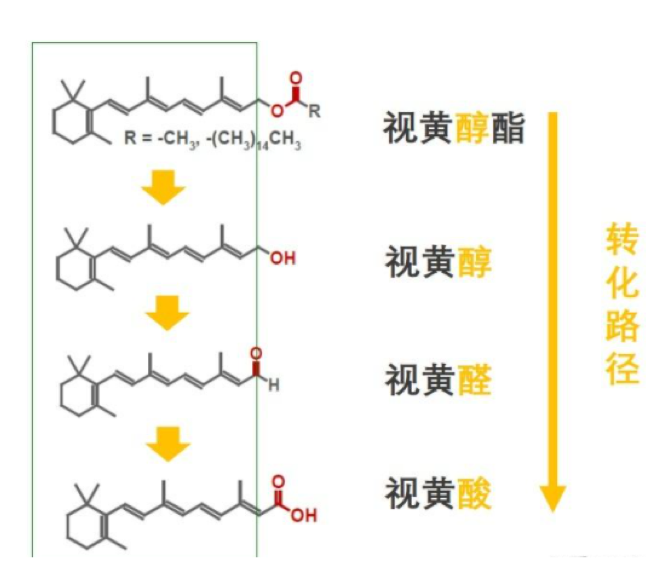 成分-类视黄醇