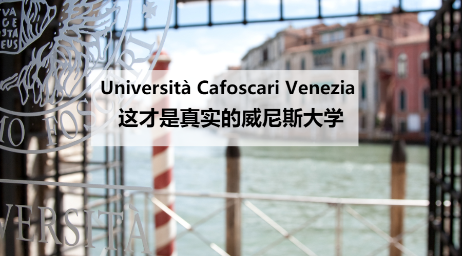 真实的威尼斯大学世界大学综合排名vs单科排名