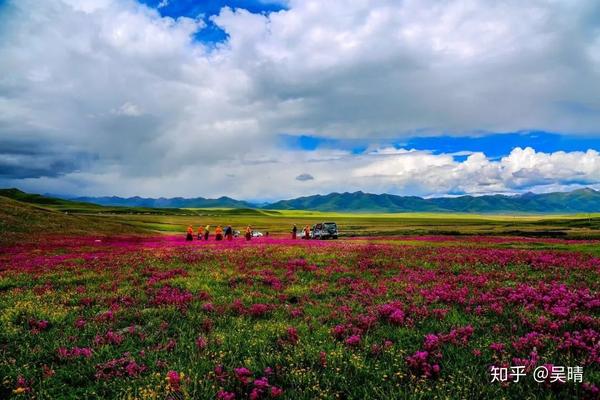 成都去稻城亚丁路过途中理塘县可以观赏赛马节比赛