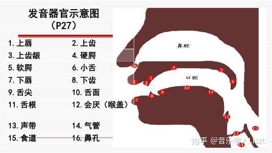 唱歌正确的哼鸣是怎么样的